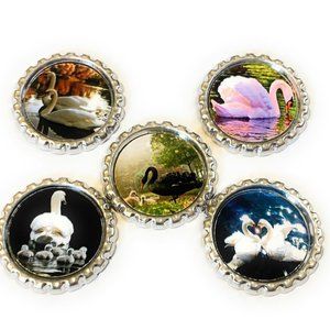 Swans Magnet Set